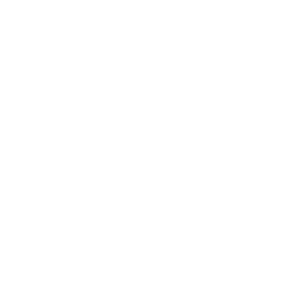 Shopify Logo