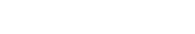 Shopify Partner